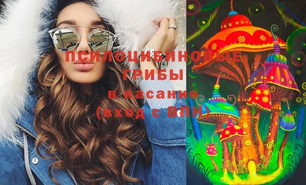 МДПВ Арсеньев