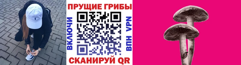 Псилоцибиновые грибы Psilocybe  Заречный 